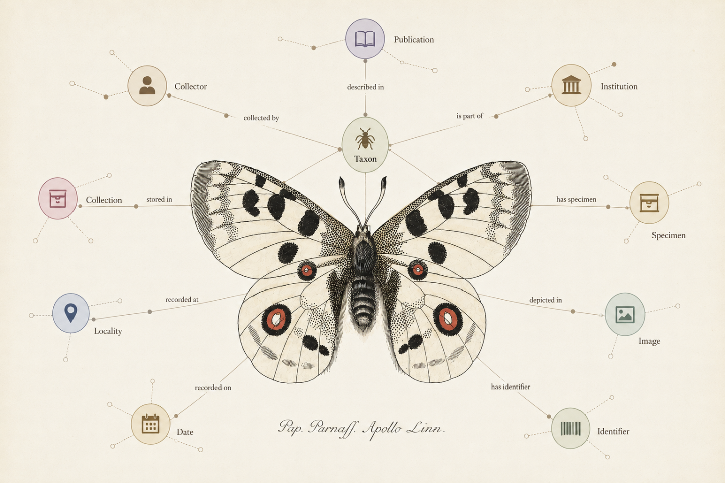sdei-information-center-for-entomology